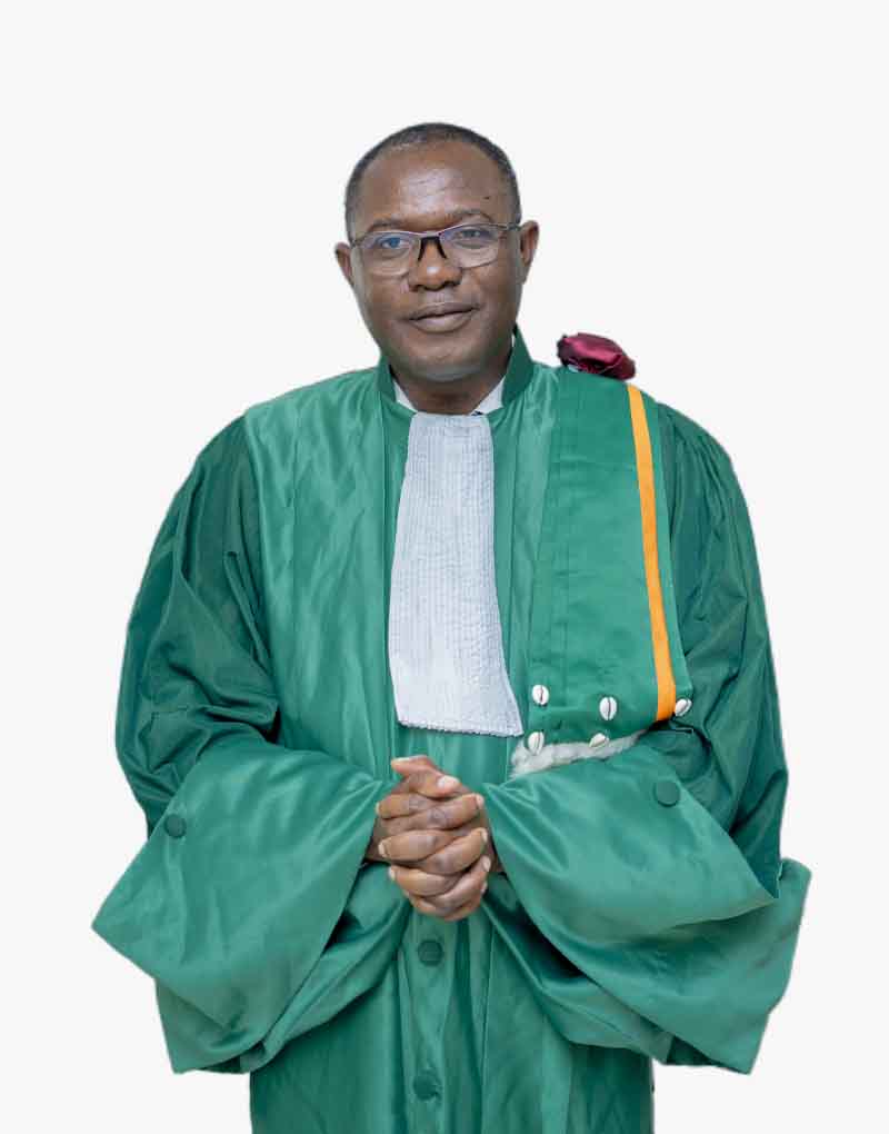 Prof. MONSAN Vincent, Vice-président