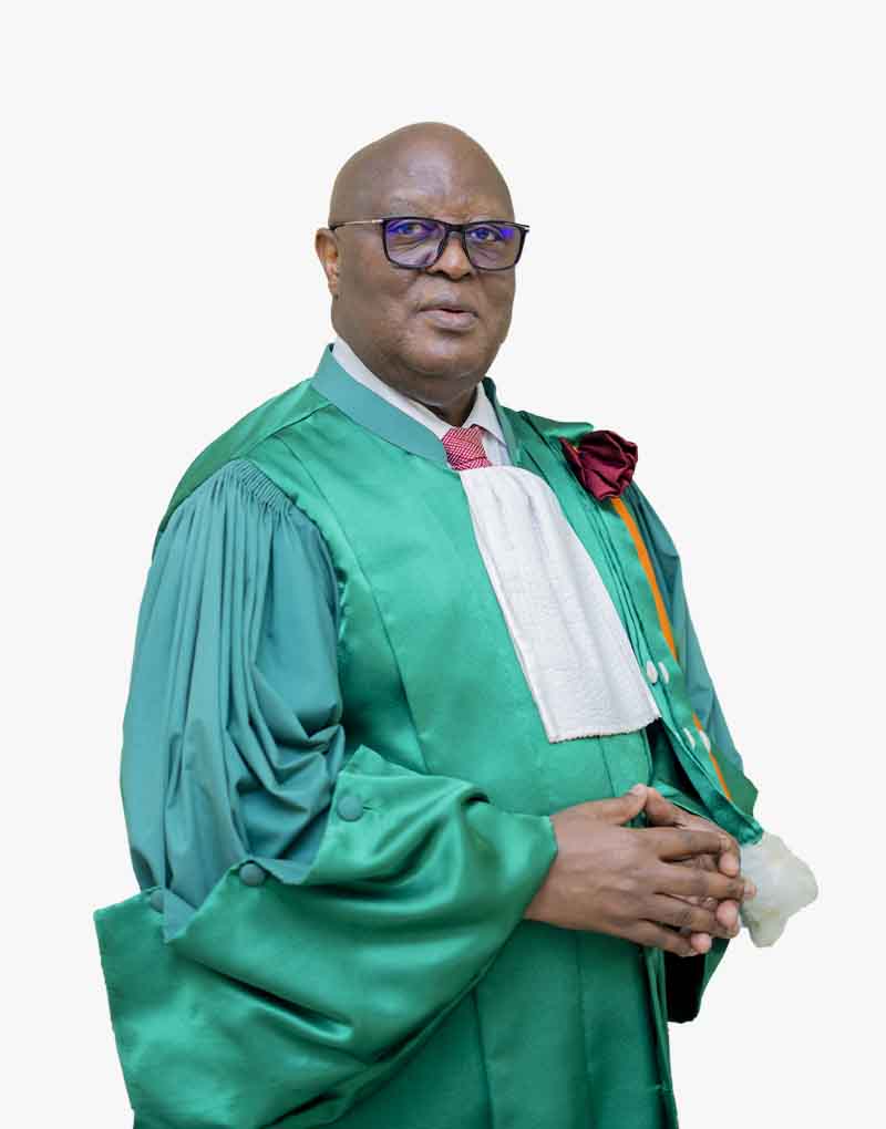 Prof. SANGARÉ Abdoulaye, Vice-président